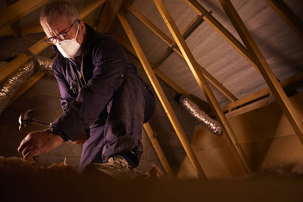 Best Eco-Friendly Insulation in Norwood, NC
