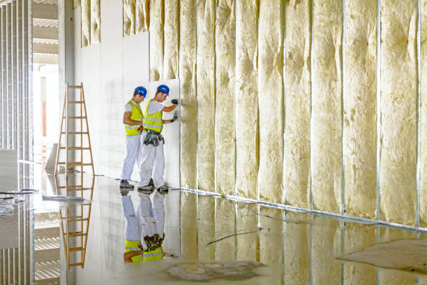Best Specialized Insulation Services in Norwood, NC